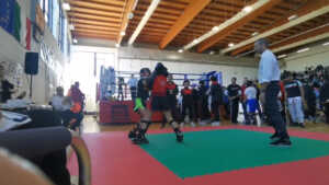 WTKA di Kickboxing